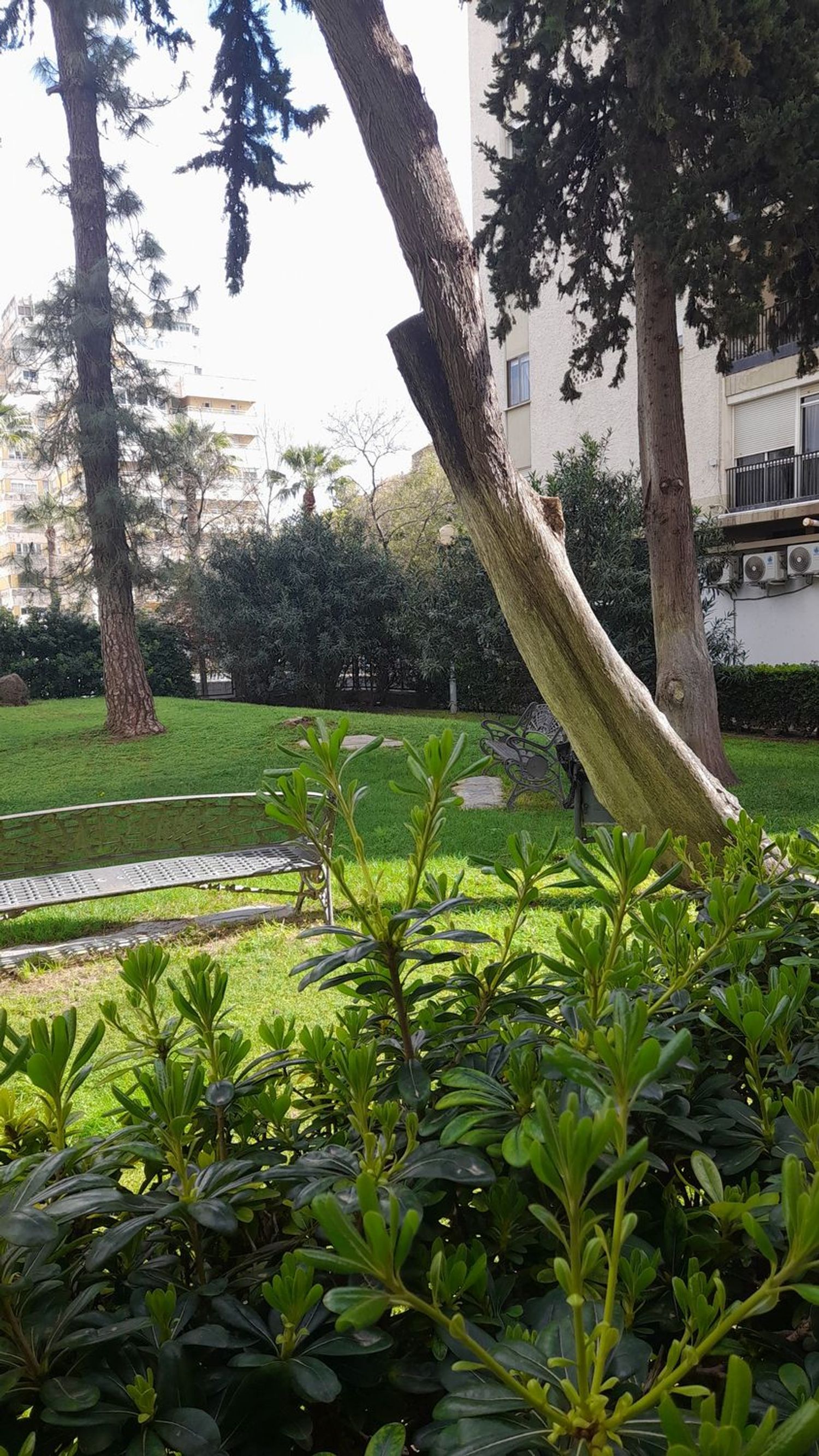 Piso en plaza del Caballo, 1 - Foto 39