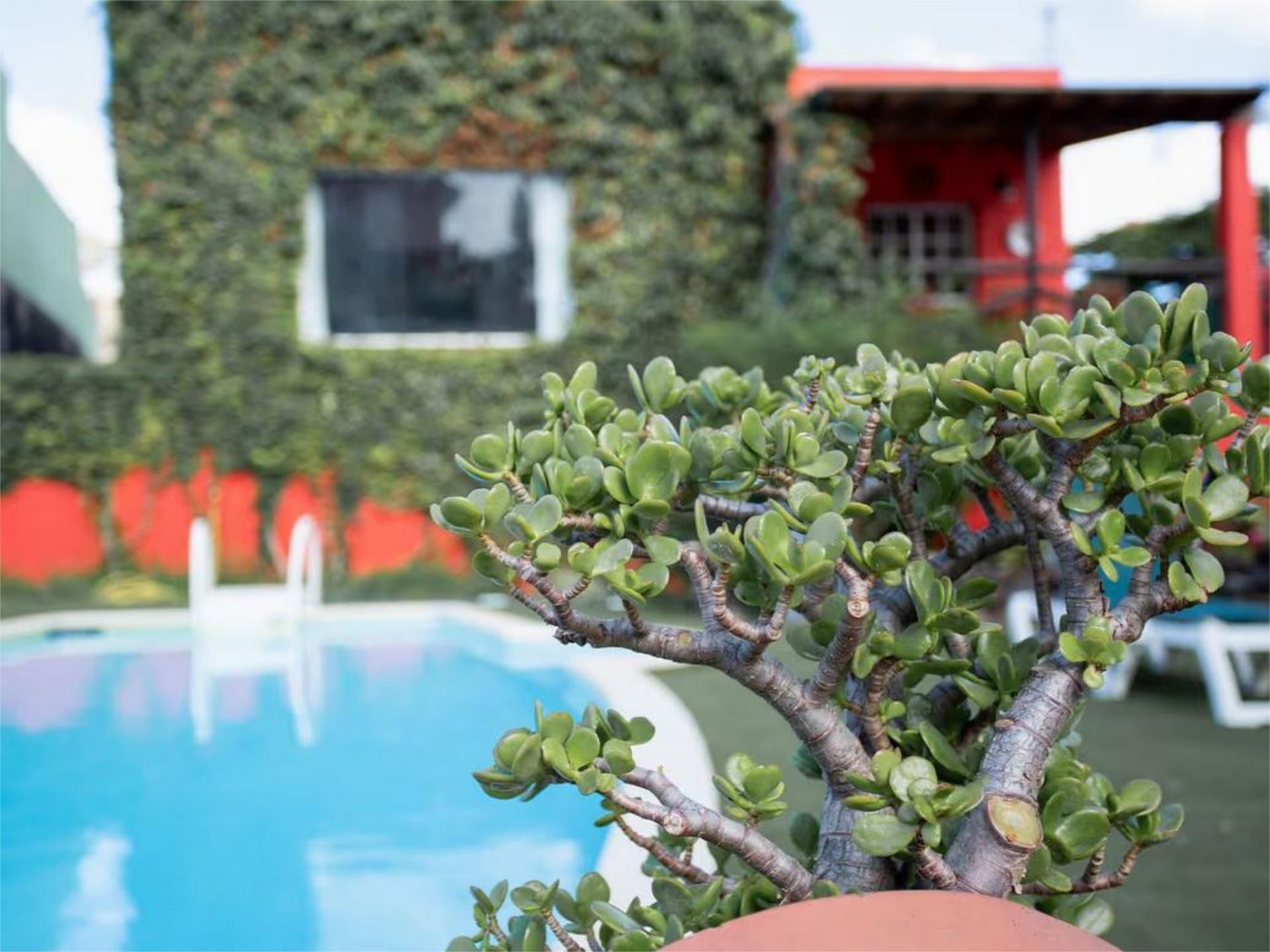 Casa adosada en  Avenida de Tamaragua 73 - Foto 25