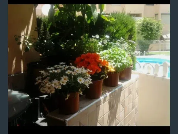 Chalet pareado en Calle la Bonanova, 1, Villamontes-Boqueres, Villamontes-Boqueres - Foto 4