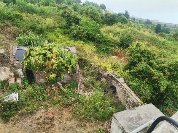 Finca rústica en Camino el Risco, 57, La Vega-El Amparo-Cueva del Viento, La Vega-El Amparo-Cueva del Viento - Foto 7