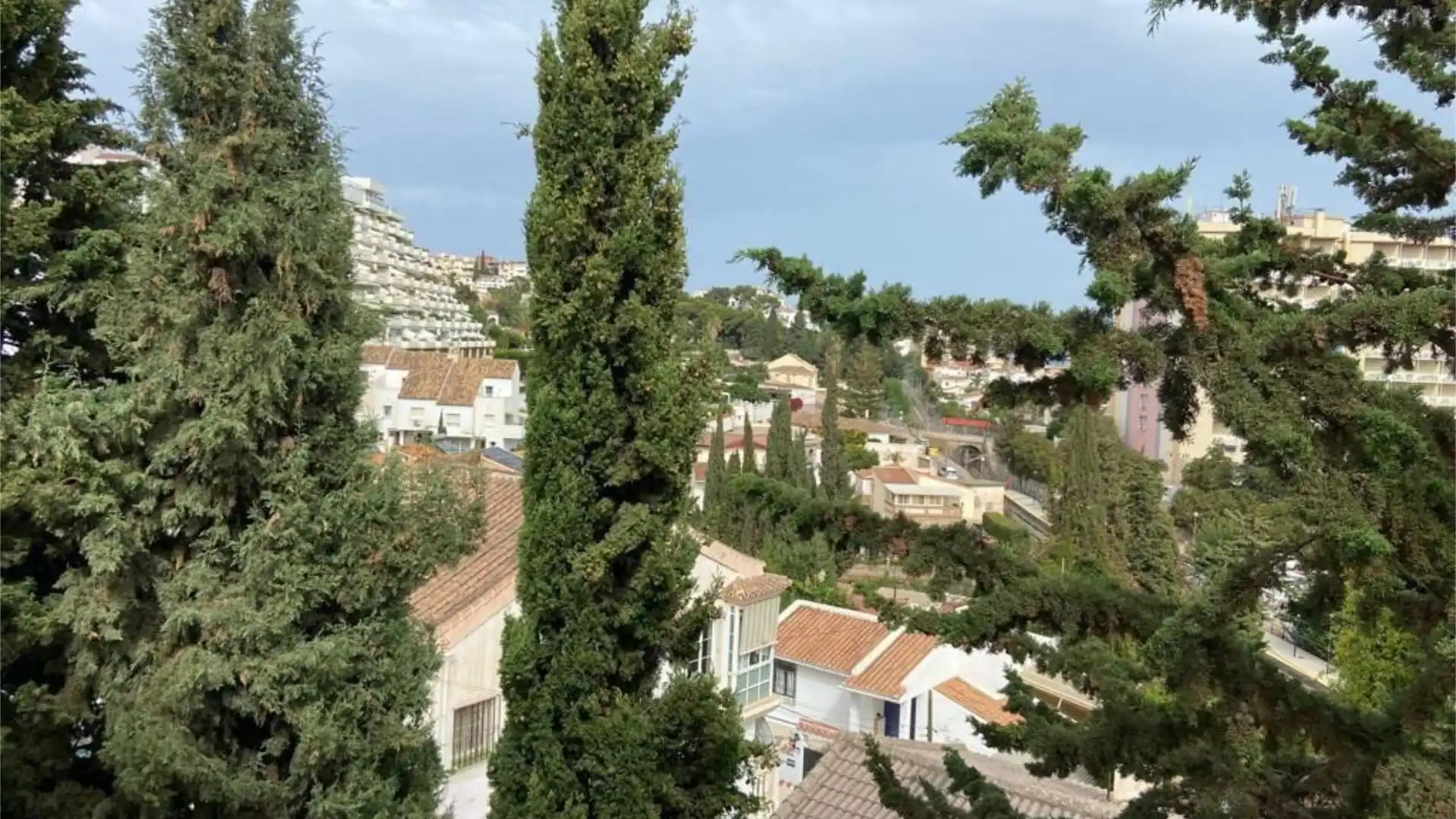 Piso en  Calle los Helechos 6 - Foto 17