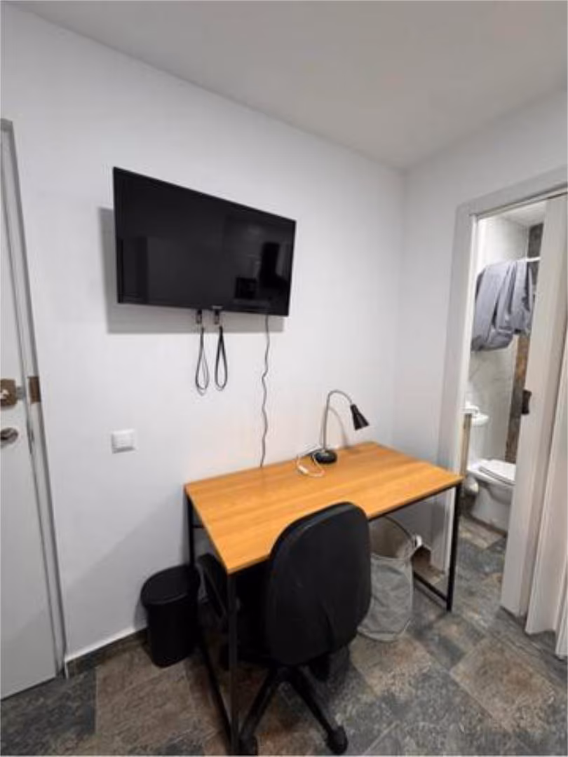 Estudio en jabalí viejo - Foto 2