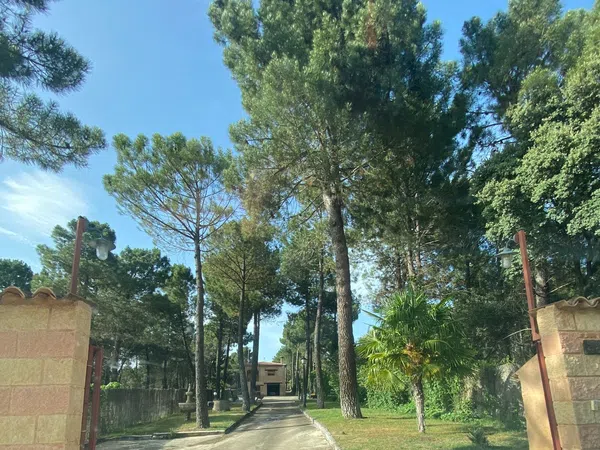 Masía en Pinar De Jabaga, 1 ,2 - Foto 3