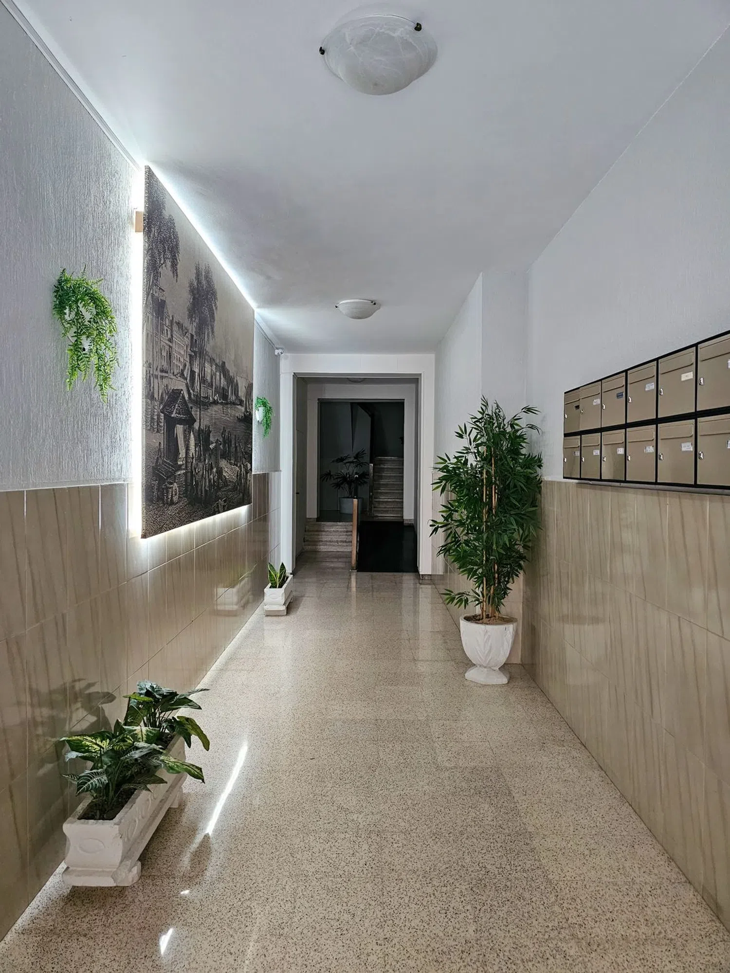 Estudio en calle Pintor Murillo, 57 - Foto 16