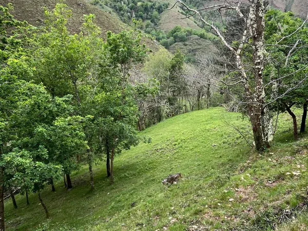 Finca rústica en El pedroso s/n - Foto 18