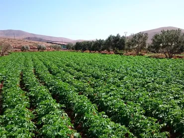 Piso en  Calle la Majadilla 20 - Foto 22