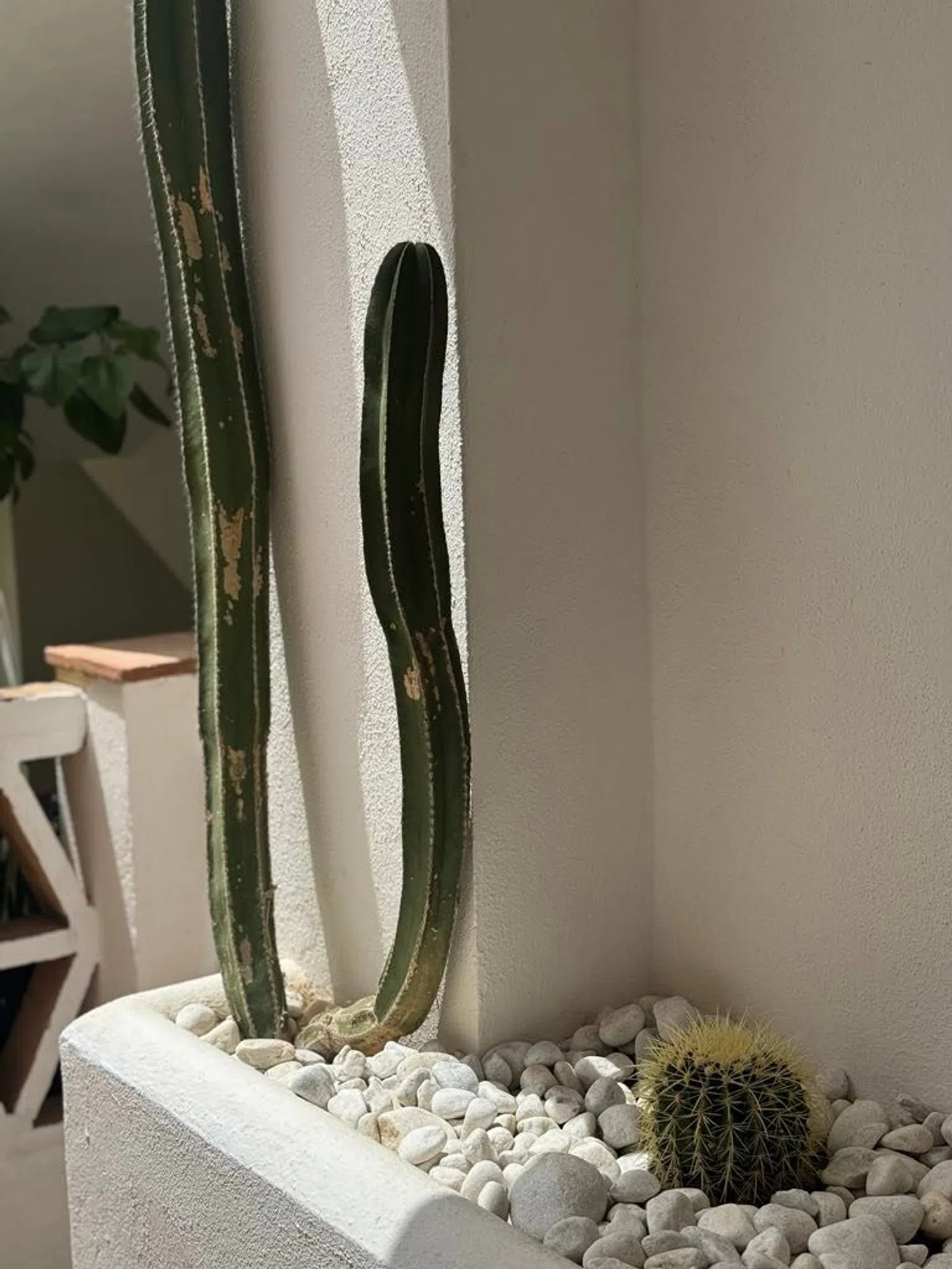 Piso en Urbanización Los Pinos de Aloha, 161 - Foto 37