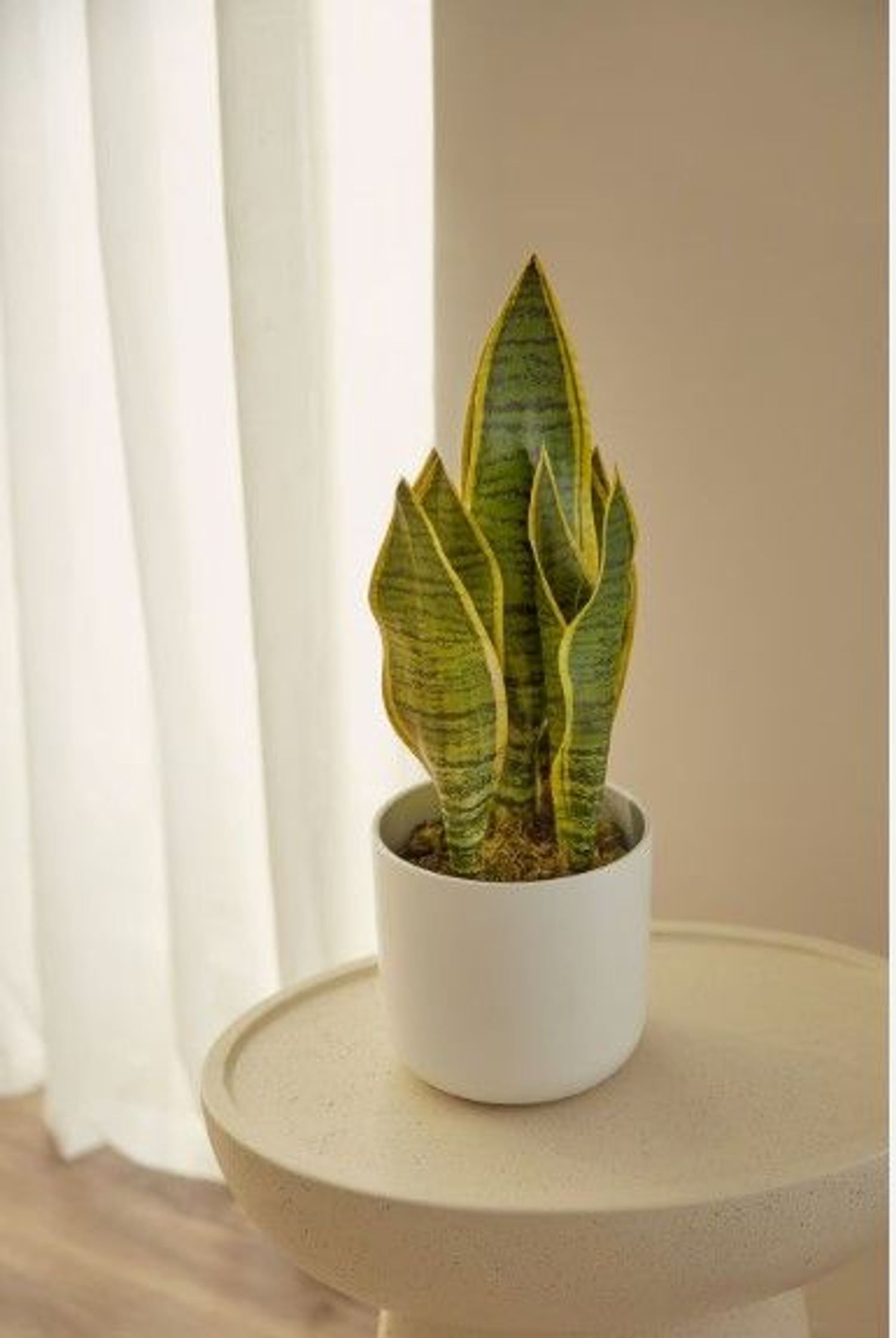 Piso en paseo de la Dirección, 88 - Foto 7