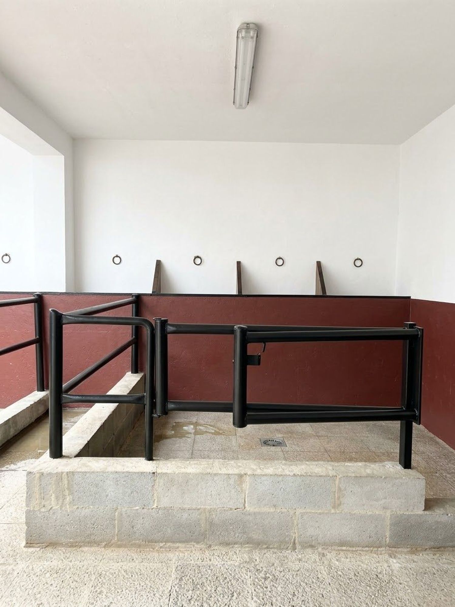 Chalet adosado en Calle Torre Carbonero, 147, El Rocío, El Rocío - Foto 11