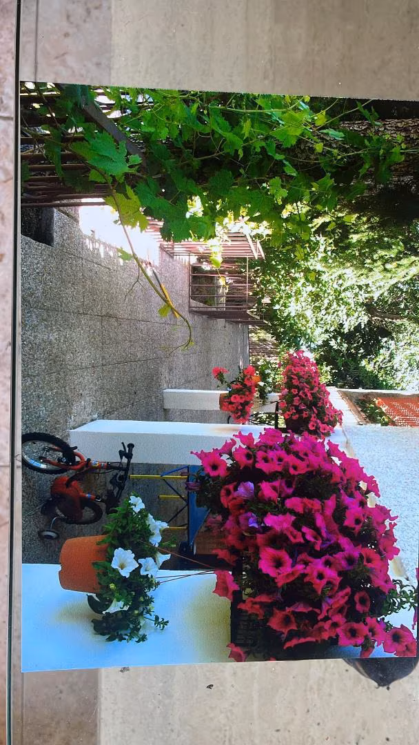 Chalet en  Calle de la Sirena 36 - Foto 13