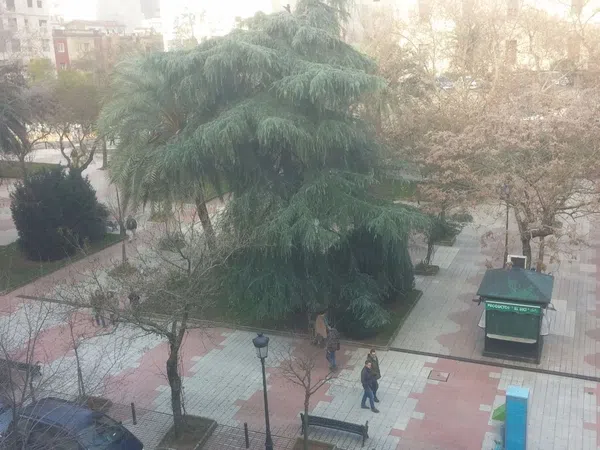 Piso en Avenida de españa, 7, Casco Antiguo, Casco Antiguo - Foto 5