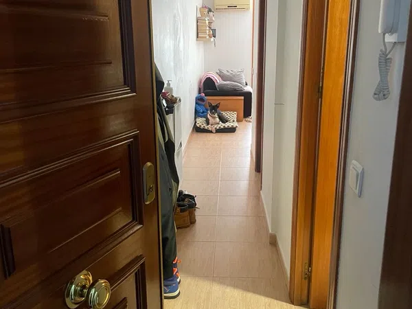 Piso en calle de Wagner, 28 - Foto 2