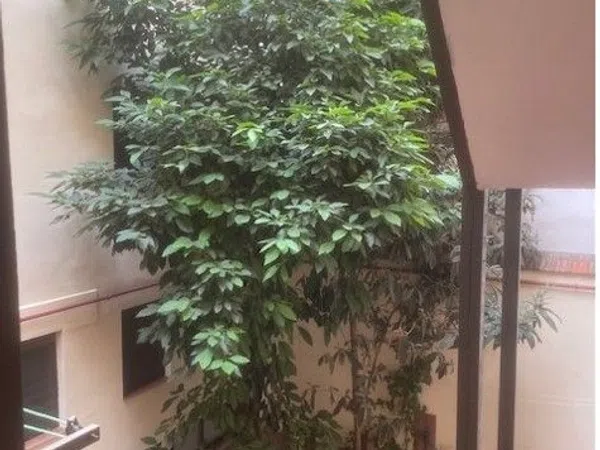 Piso en plaza de Olavide, 10