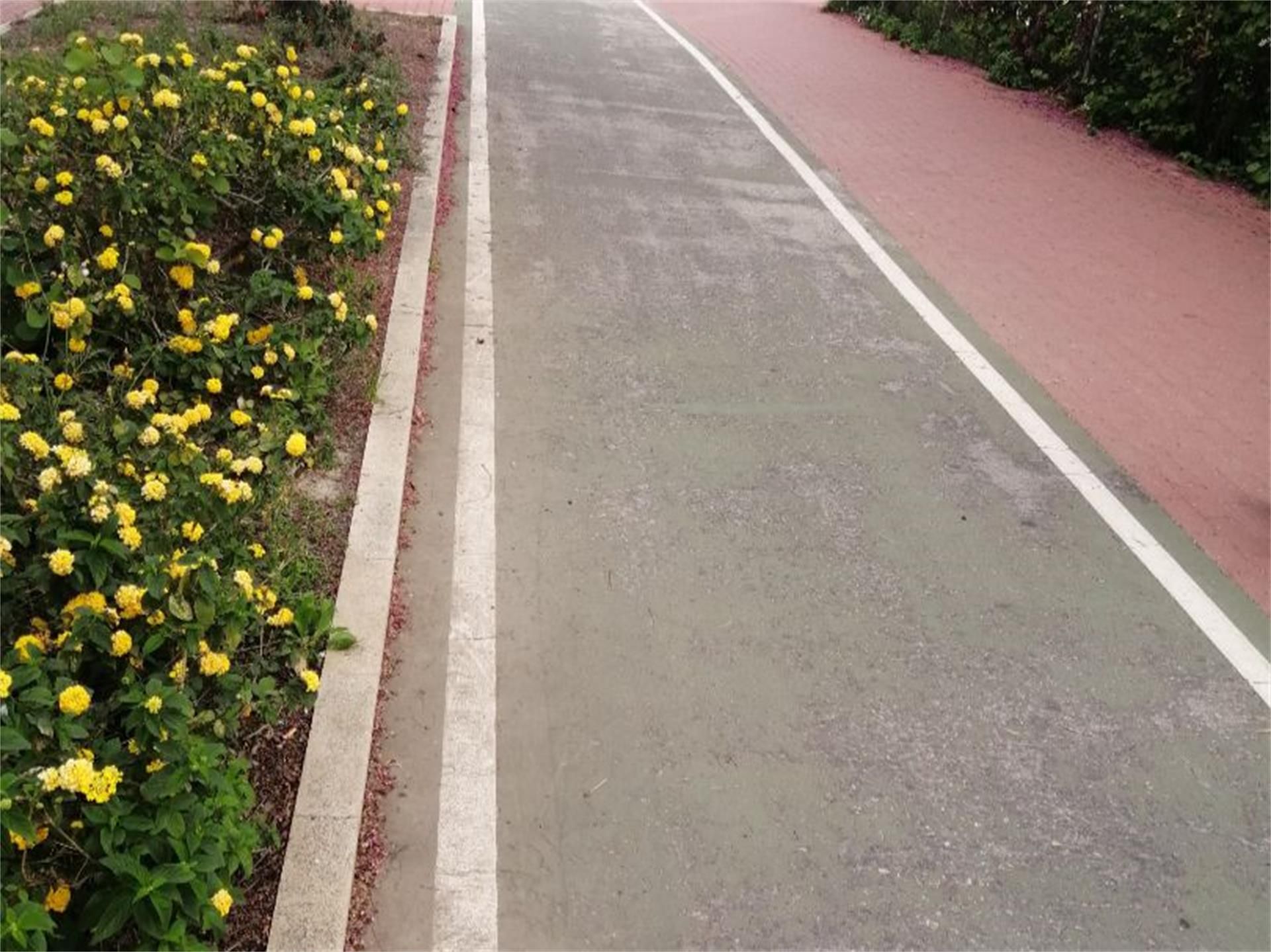 Piso en  Avenida Don Juan de Borbón 53 - Foto 29