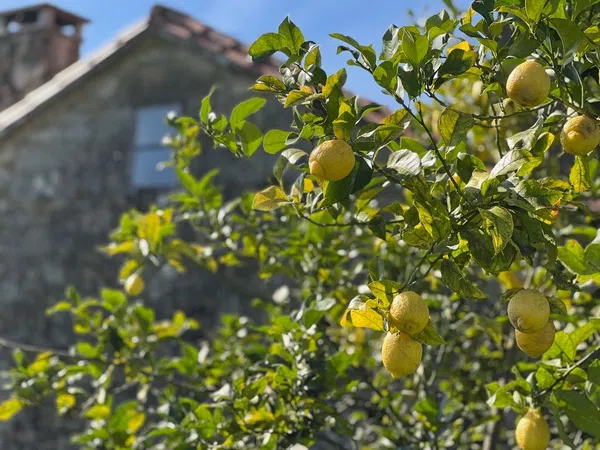 Casa rural en calle Ventosa, 22 - Foto 13