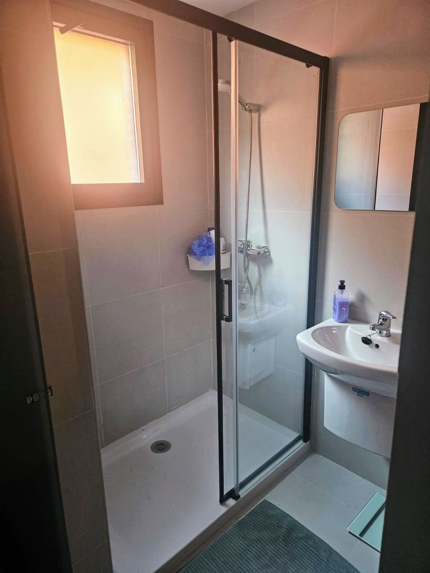 Estudio en Puerto de Navacerrada, 1 - Foto 10