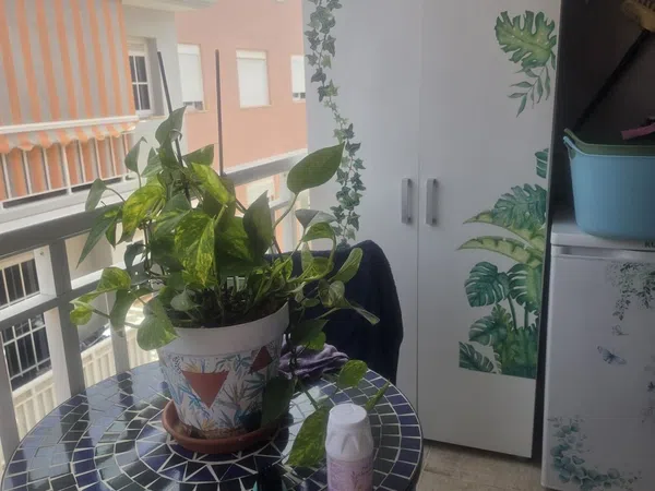 Piso en Paseo Areca, 1, Las Rosas, Las Rosas - Foto 8
