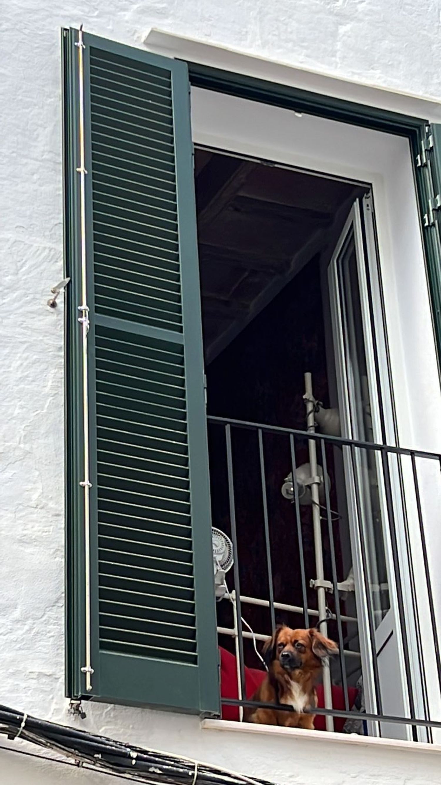 Casa o chalet independiente en Calle de Sant Jeroni, 1, Centre Històric - Foto 2