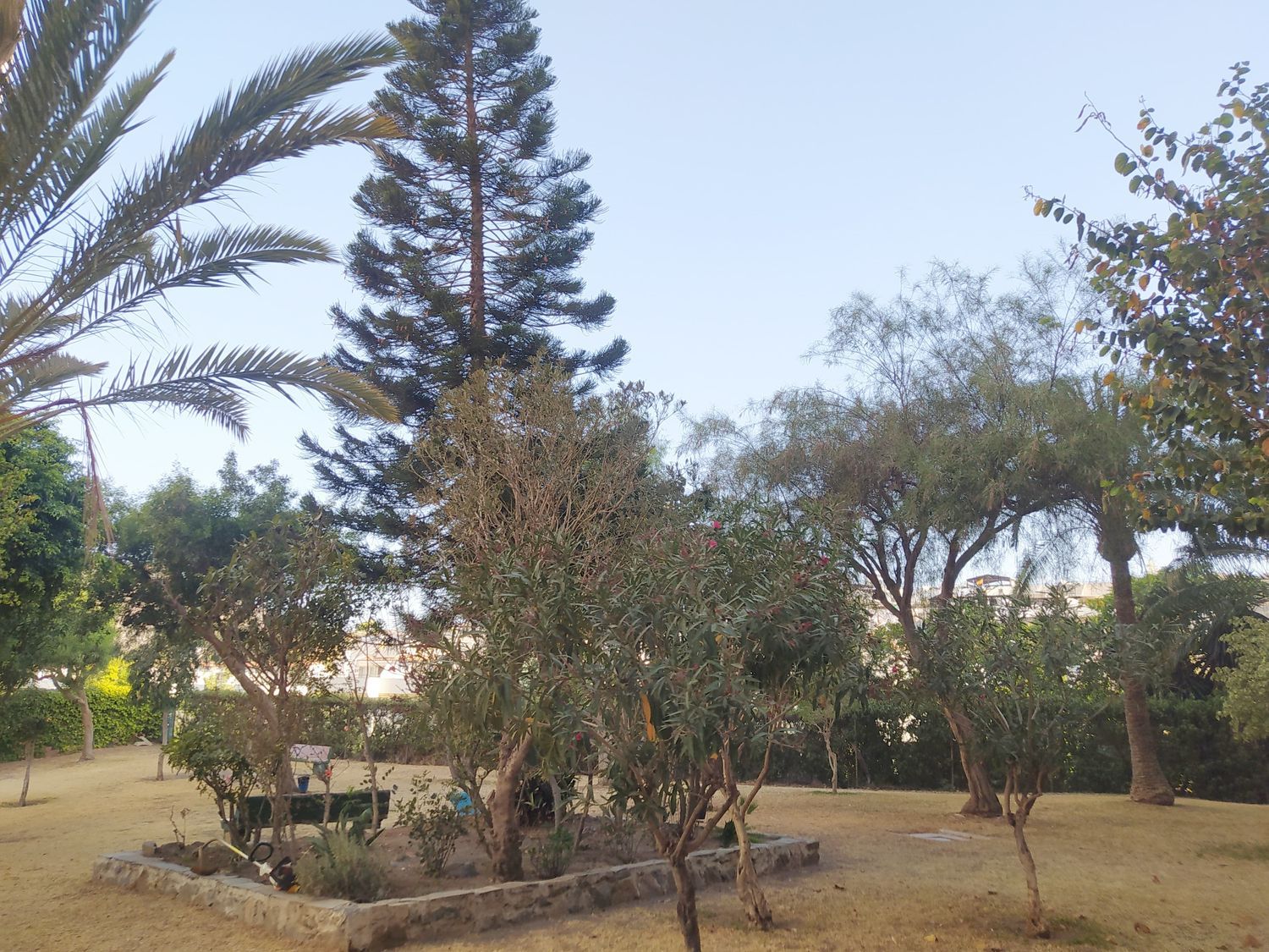 Estudio en Calle Hermanos Álvarez Quintero, 5, La Cala del Moral, La Cala del Moral - Foto 14