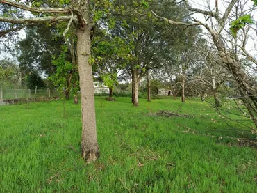 Planta baja en  Rúa Doutor Martínez Rodríguez 22 - Foto 32
