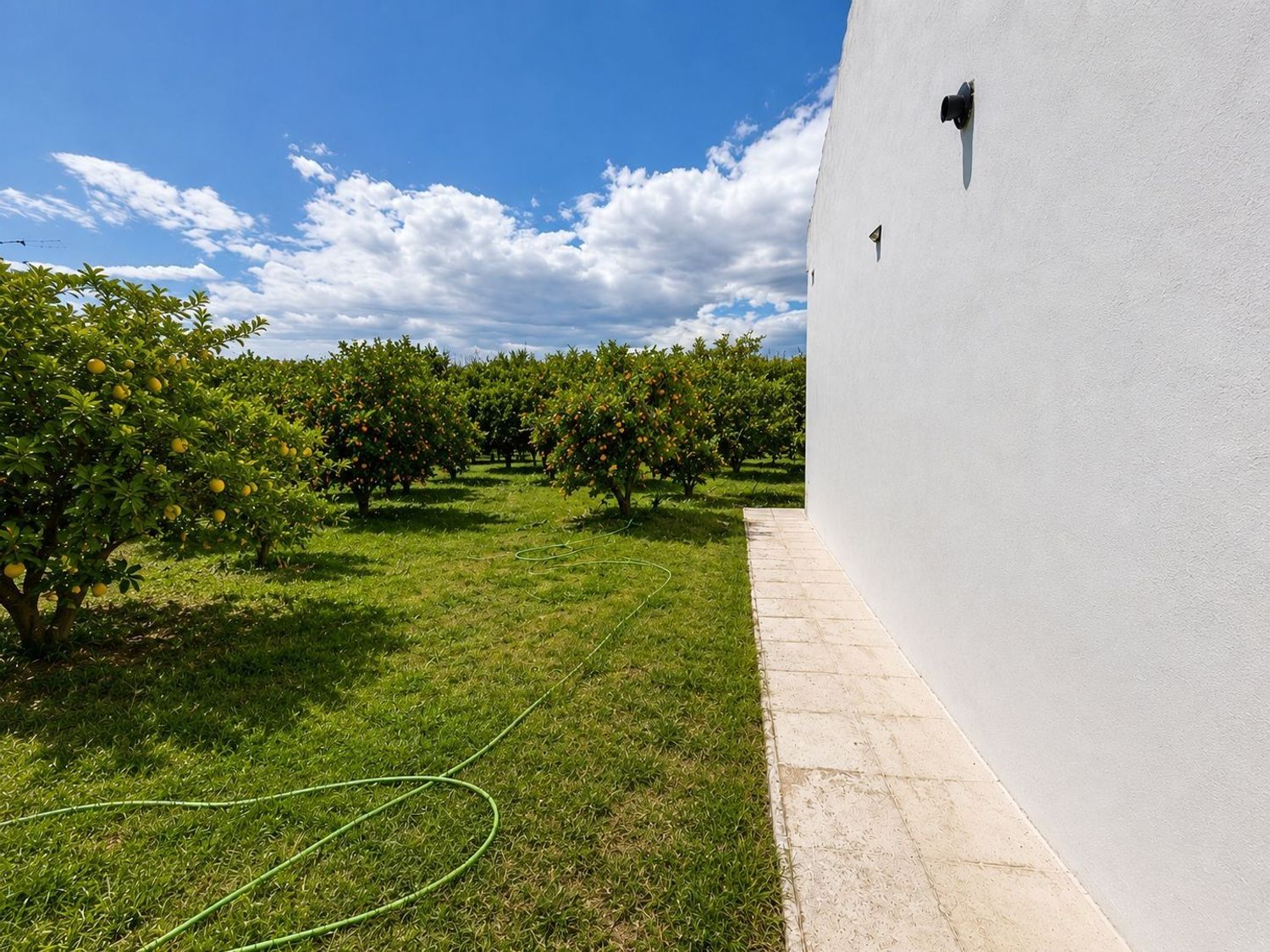 Finca rústica en Poligono27 s/n, Cártama pueblo, Cártama pueblo - Foto 4