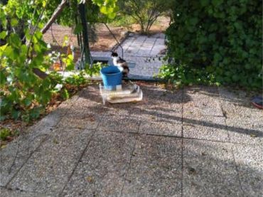 Chalet en fuensanta de martos - Foto 8