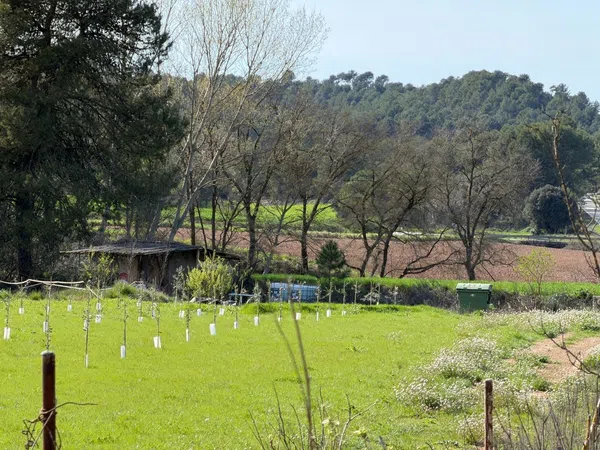 Finca rústica en Carretera del Mujal, 1 - Foto 1