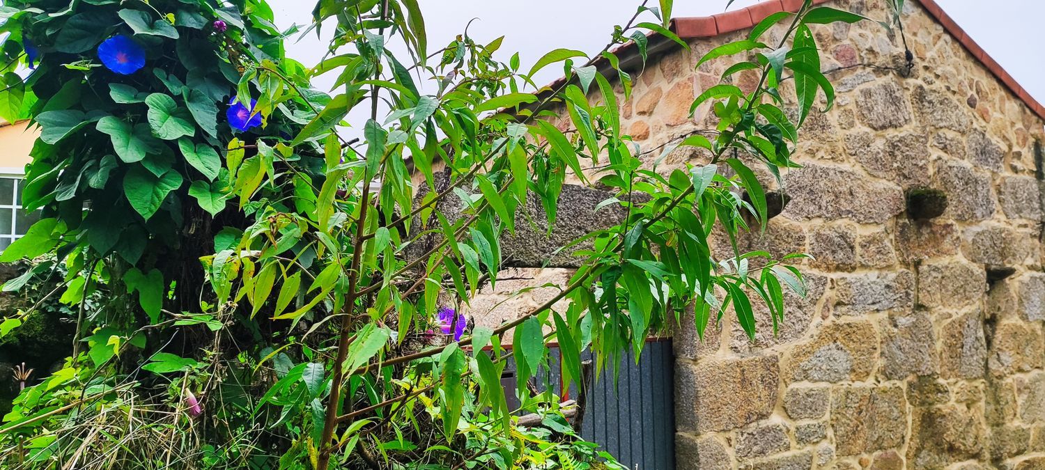 Casa de pueblo en Desteriz s/n - Foto 3