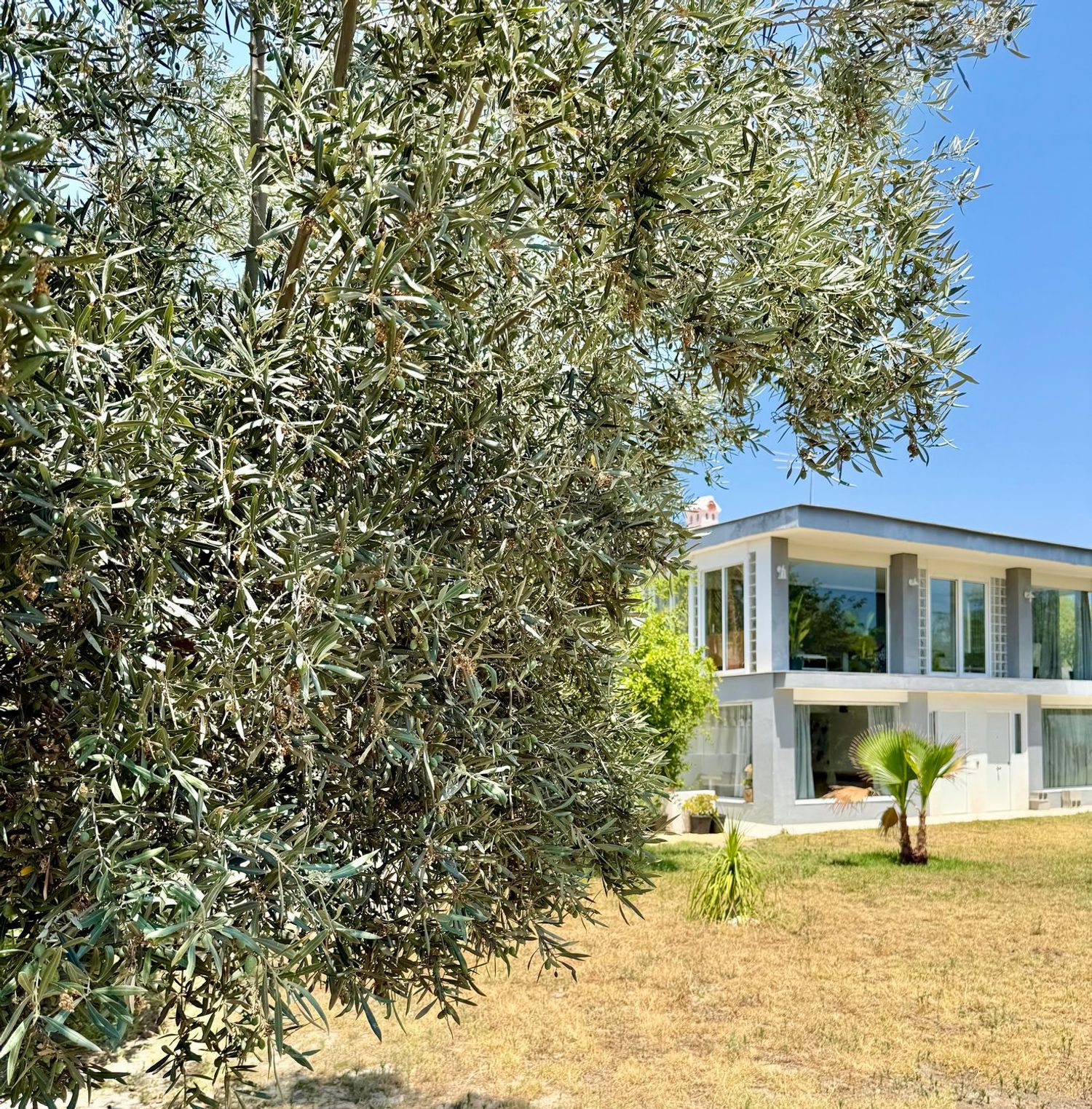 Estudio en Valle del Sol - El Portel, Valle del Sol - El Portel - Foto 13