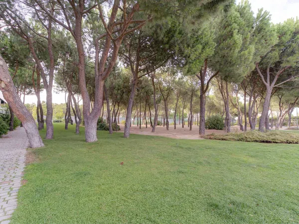 Piso en Los Satélites - Roza Martín, Los Satélites - Roza Martín - Foto 10