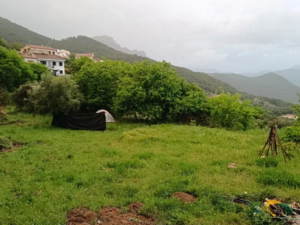 Finca rústica en Poblado Graya, 23 - Foto 6