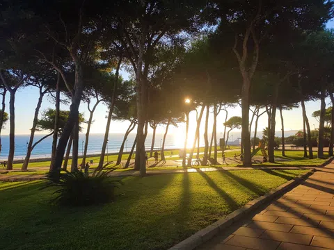 Estudio en calle Torre del Oro, 4 - Foto 14