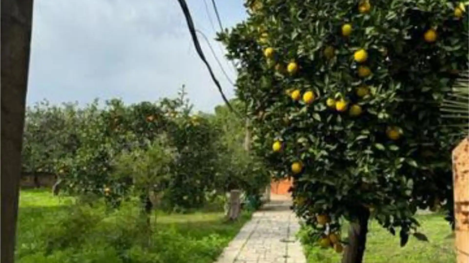 Casa adosada en Zona Norte - Foto 6