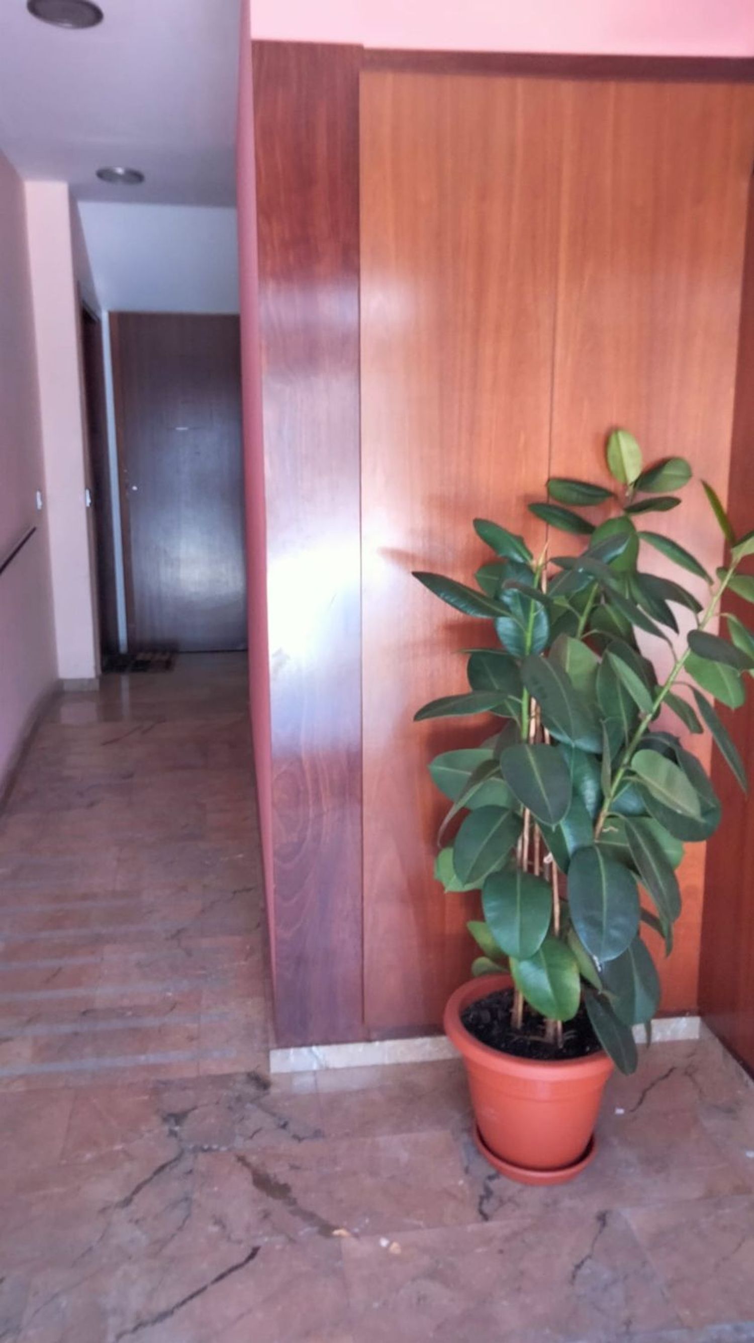 Piso en Calle de Tàrrega, 23, La Grípia - Foto 3