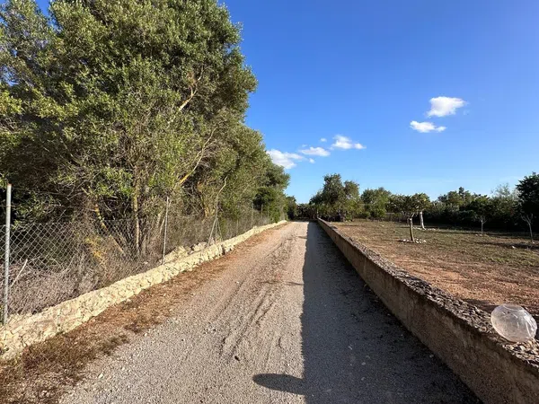 Finca rústica en Lugar Poligono 11, 639 - Foto 13