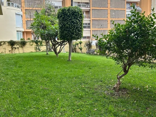 Piso en Paseo de Sancha, 12, Malagueta - Monte Sancha - Foto 13