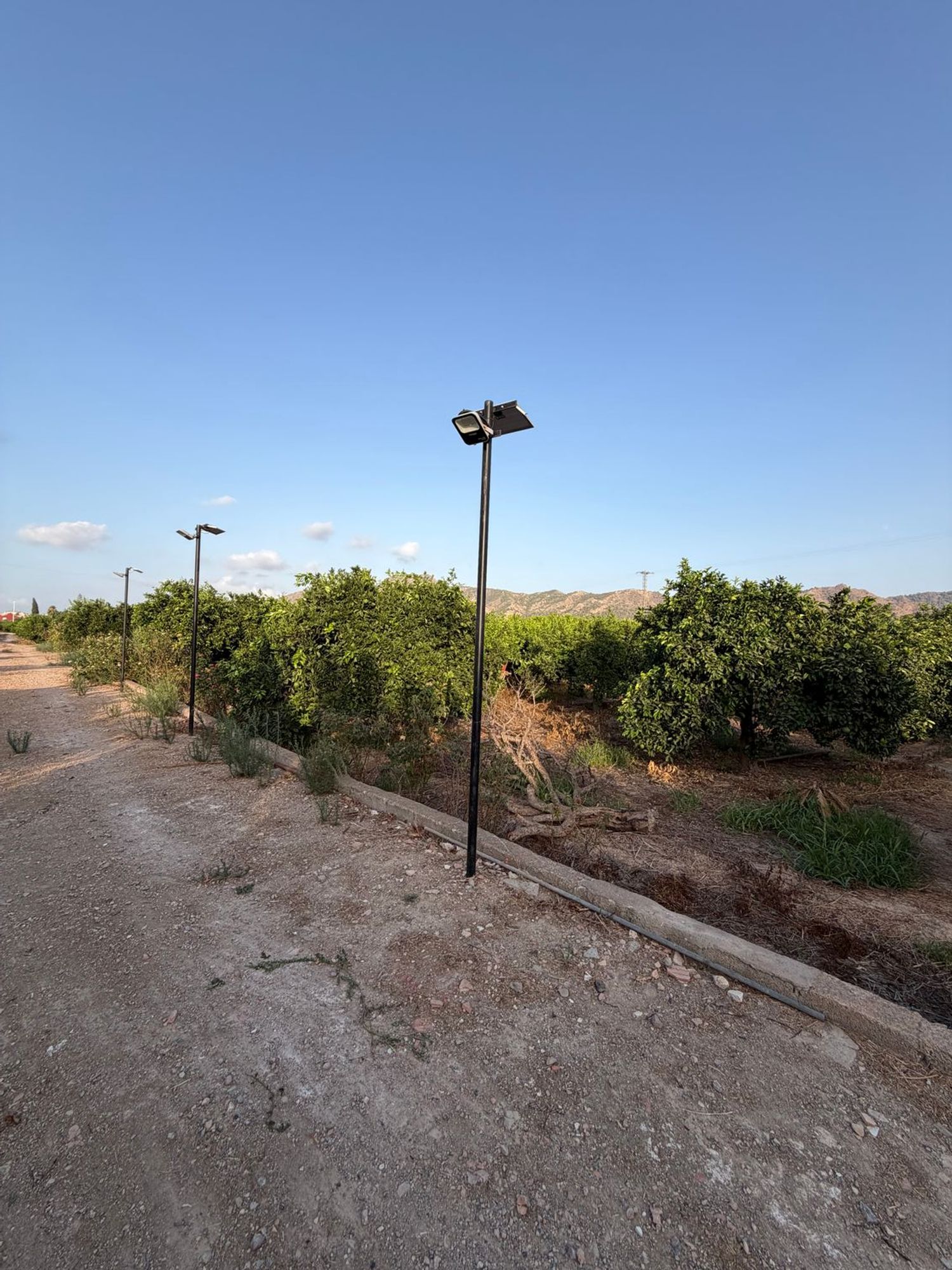 Finca rústica en Camino de los Plazas, 16, San José de la Vega - Foto 33
