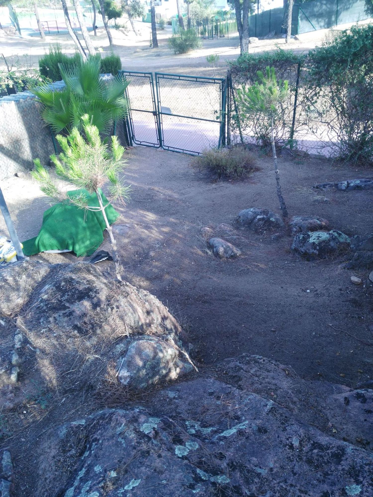 Casa o chalet independiente en Avenida del Brezo, 28, Trassierra - Las Jaras - Foto 31