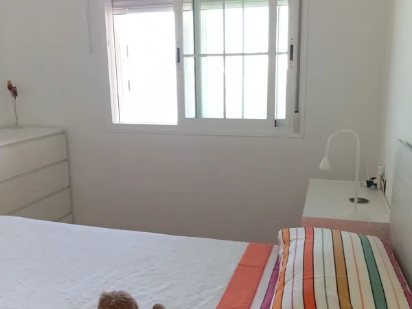 Piso en Calle de Carlos Cano, 2, Velilla - Velilla Taramay, Velilla - Velilla Taramay - Foto 10