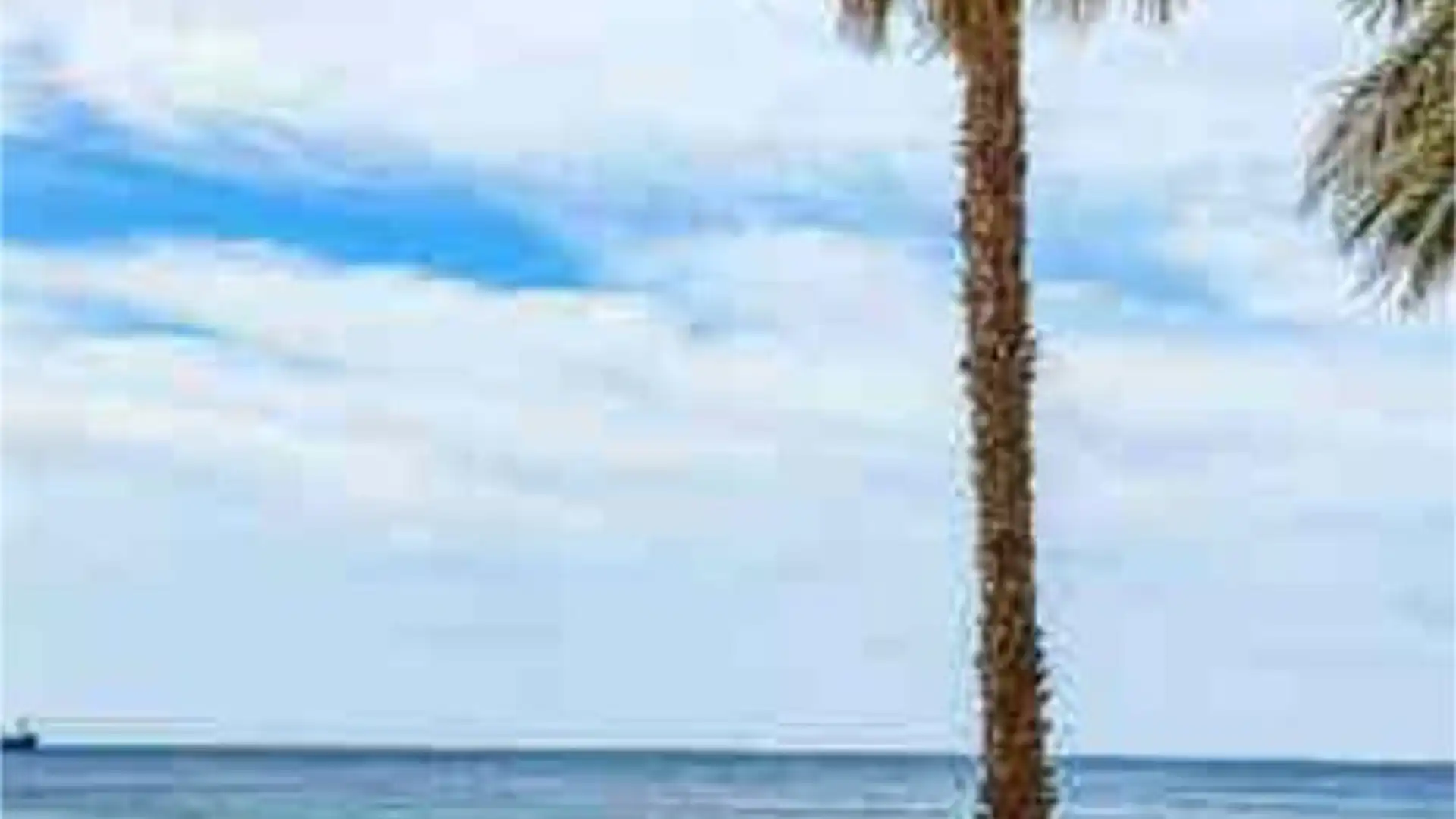 Piso en Mangas Verdes - Foto 3