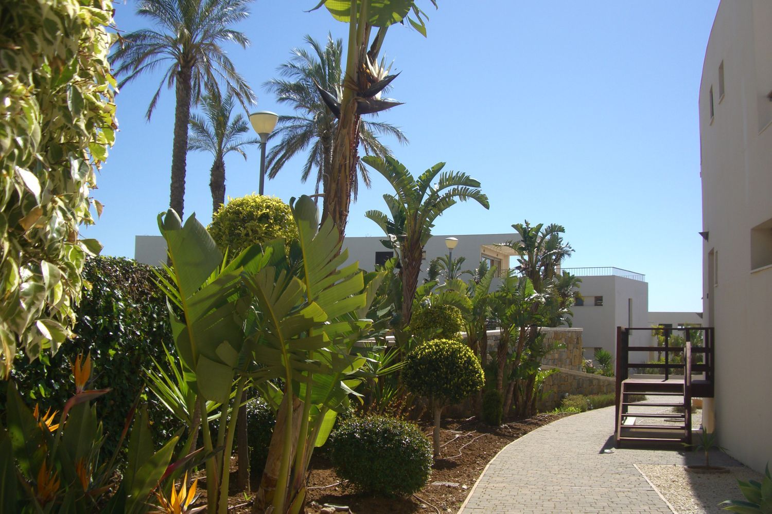 Loft en Calle El Pinar, 3, Alto de los Monteros - Foto 2