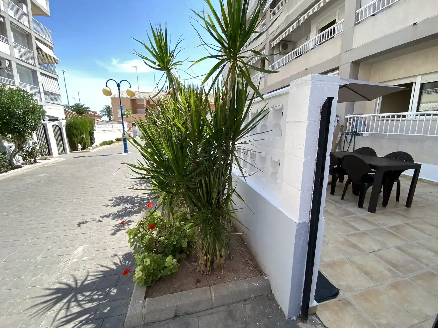 Planta baja en  Carrer José Segrelles 3 - Foto 16