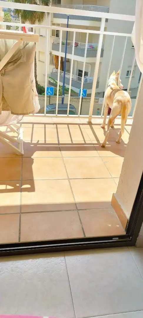Apartamento en  Carrer dels Marenys 5 - Foto 7