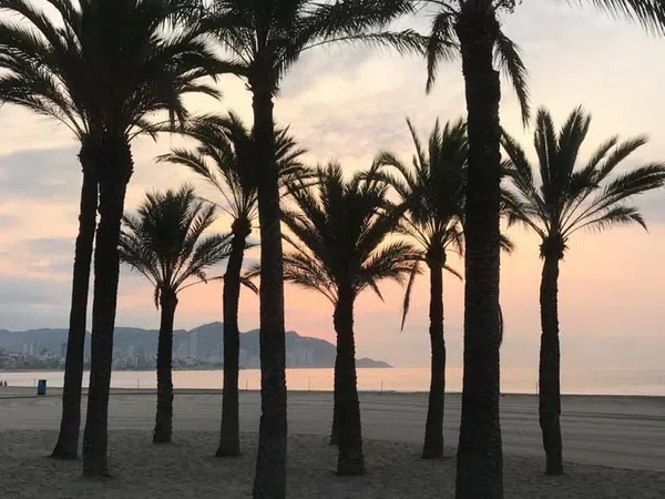 Estudio en calle L'Alfas del Pi, 8 - Foto 29