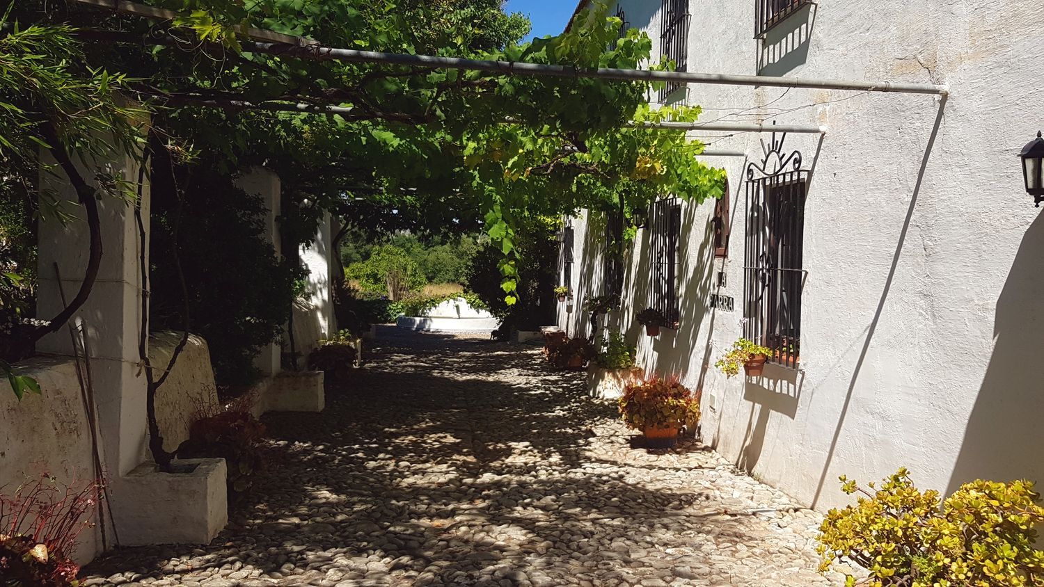 Casa rural en Calle Juan Carlos I s/n - Foto 3