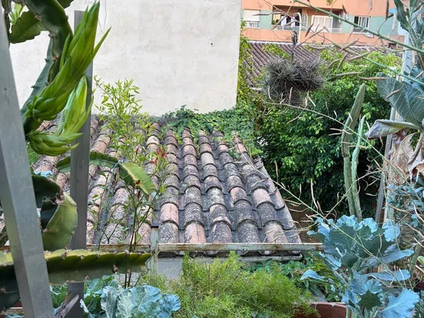 Piso en Calle Emili Darder, 37, Camp d'En Serralta - Foto 1