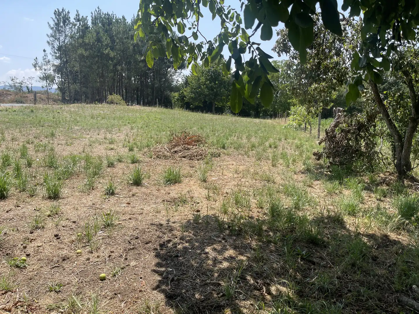 Chalet en  Poblado Calzada-Manduas 5 - Foto 14