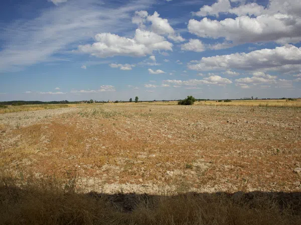 Casa rural en Calle Primo de Rivera, 52 CalleARZOBISPOMORCILLOB - Foto 8