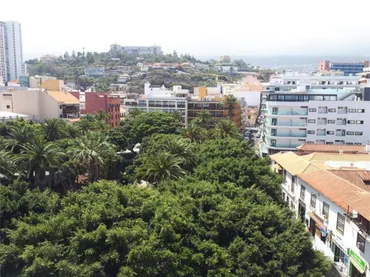 Estudio en Puerto de la Cruz - Foto 9