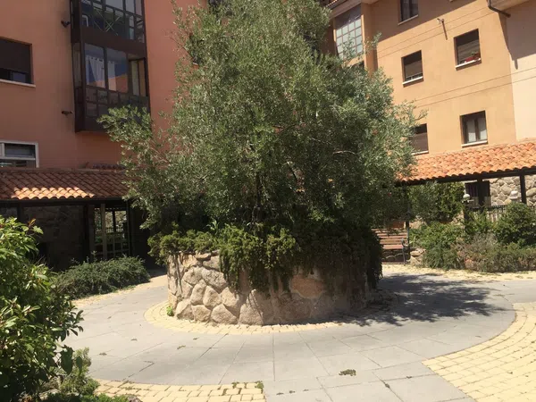 Ático en Cañada nueva, 36 - Foto 21